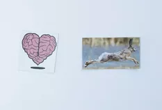 Unconscious Bias